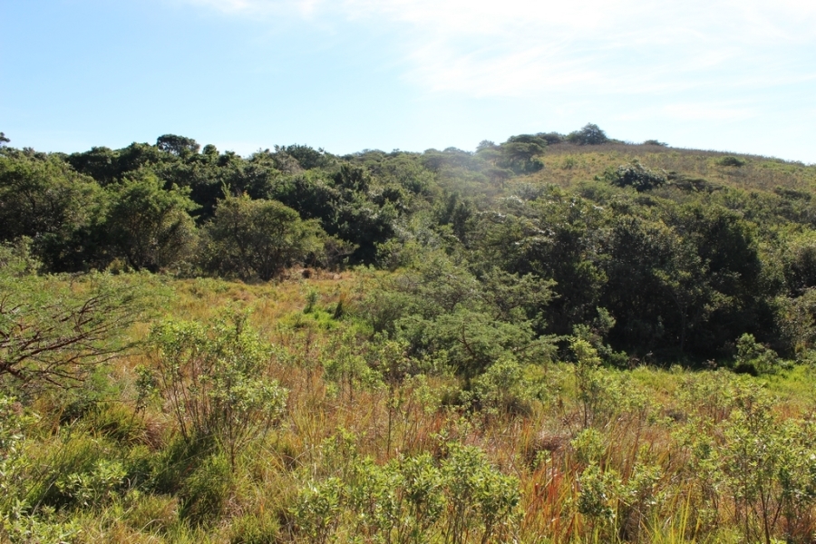 0 Bedroom Property for Sale in Khamanga Bay Eastern Cape